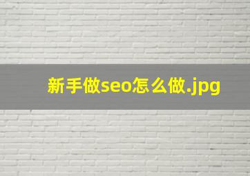 新手做seo怎么做