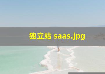 独立站 saas