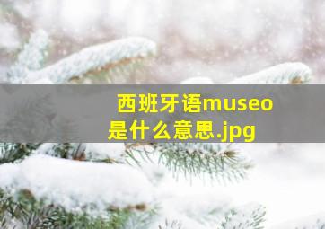 西班牙语museo是什么意思