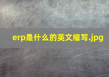 erp是什么的英文缩写