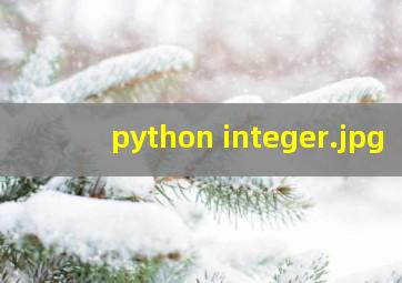 python integer