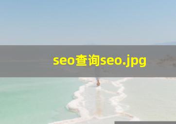 seo查询seo