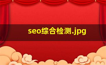seo综合检测